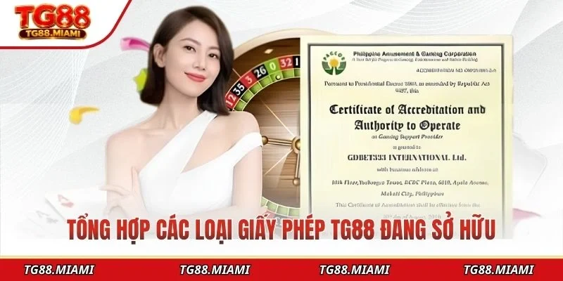 Tổng hợp các loại giấy phép TG88 đang sở hữu